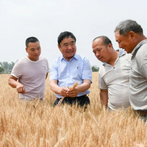 技能大賽！全國(guó)第一！來(lái)自阜陽(yáng)！