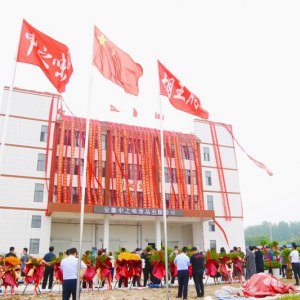 安徽胡王府：預(yù)制菜產(chǎn)業(yè)新生力量，助推鄉(xiāng)村振興