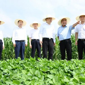 梁言順在阜陽市調(diào)研時強調(diào) 堅持多種糧種好糧全力保障國家糧食安全 加快皖北地區(qū)全面振興步伐 ...